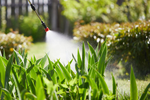 24/7 Emergency Termite Control experts in Valley Hill, NC