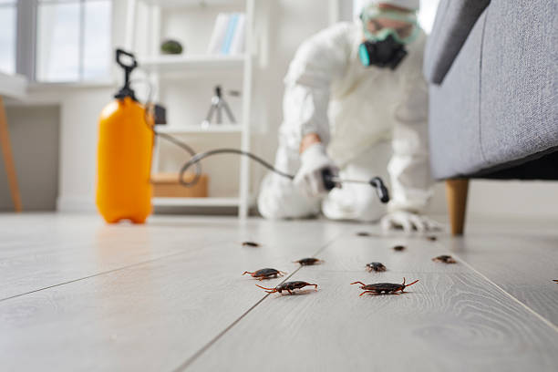 Trusted Fumigation Services service in Valley Hill, NC - Nex Pest Control